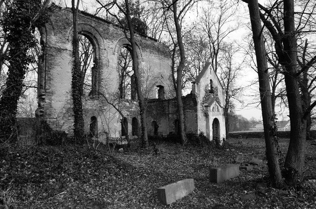 photo.jpg