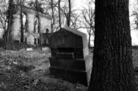 photo7_small.jpg