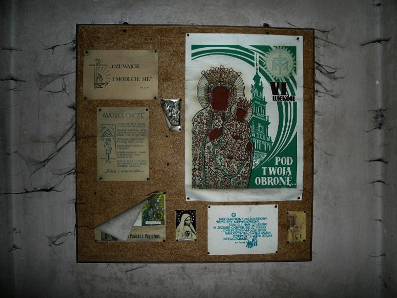photo4.jpg
