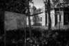 photo7_small.jpg