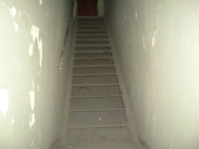 photo6.jpg