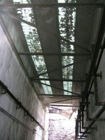 photo10.jpg