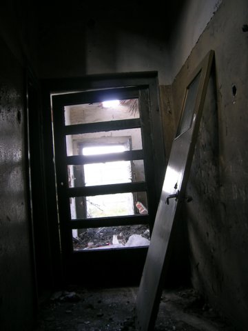 photo16.jpg