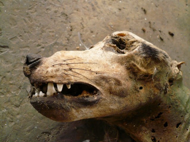 photo2.jpg