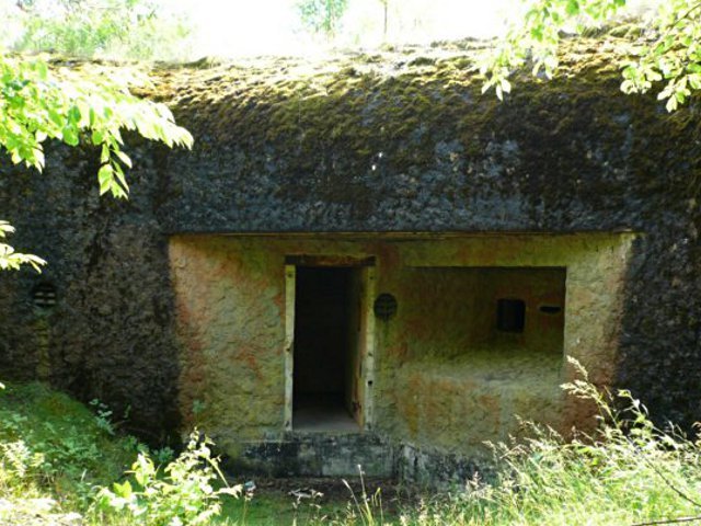 photo.jpg