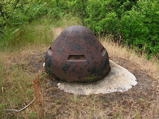 photo2.jpg