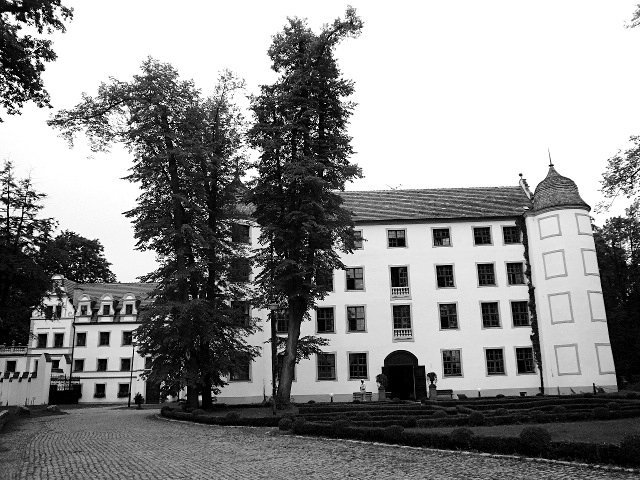 photo7.jpg