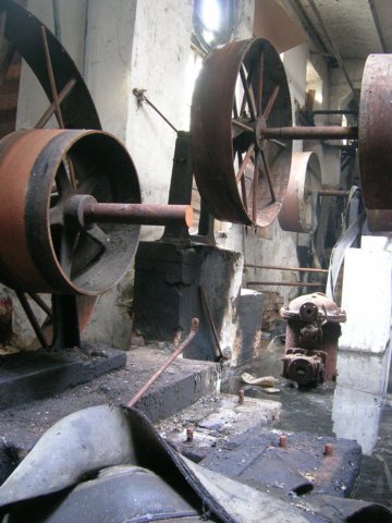photo14.jpg
