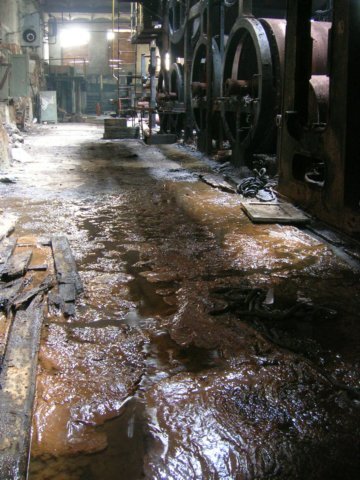 photo15.jpg
