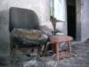 photo5_small.jpg