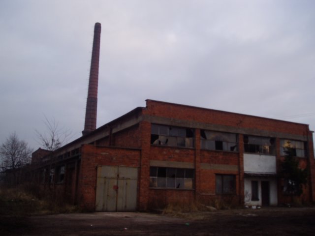 photo.jpg