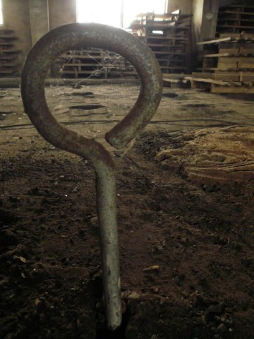 photo9.jpg
