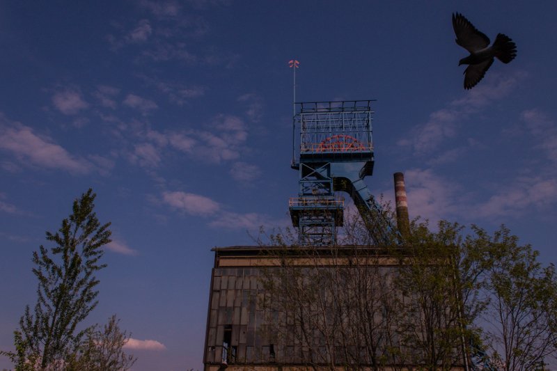 photo.jpg