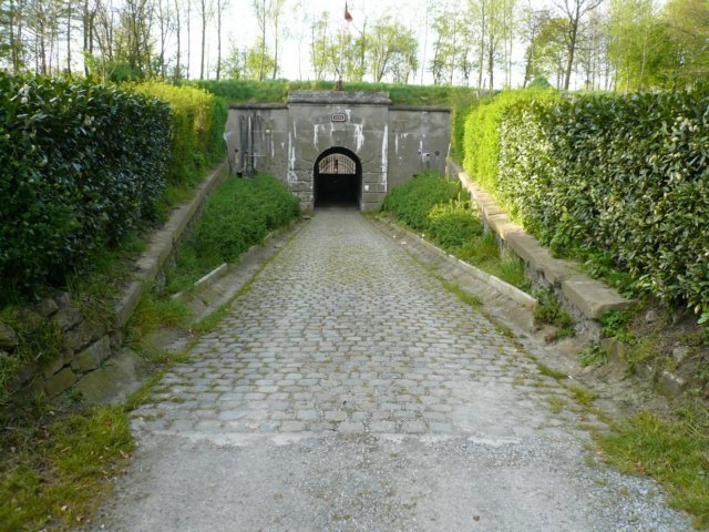photo.jpg