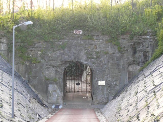 photo9.jpg
