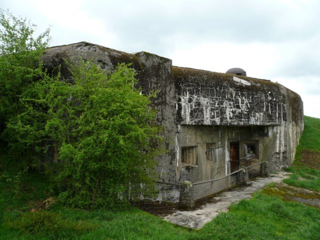photo.jpg