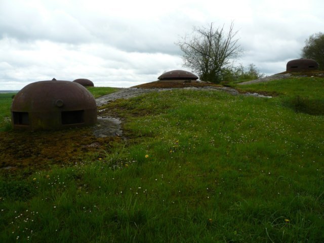 photo4.jpg