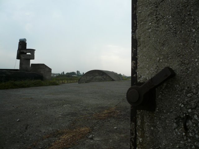 photo7.jpg