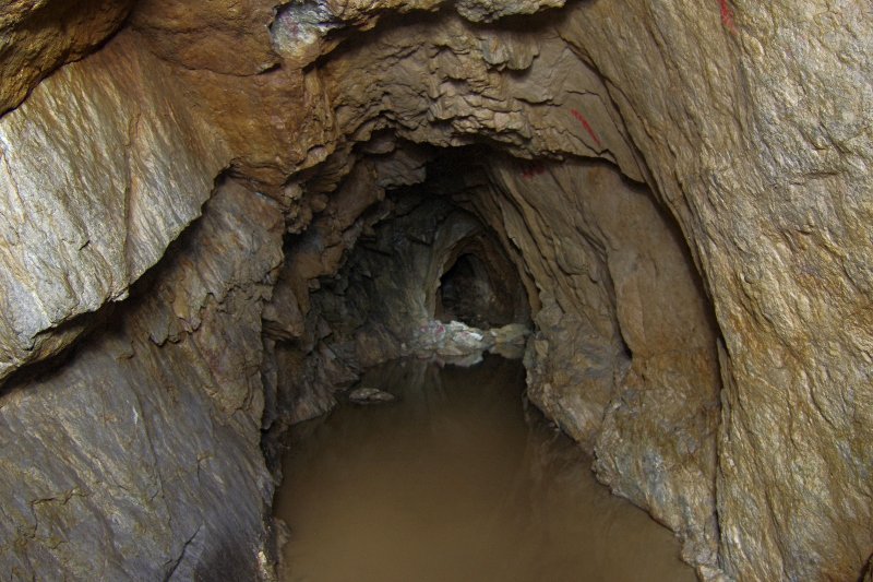 photo.jpg