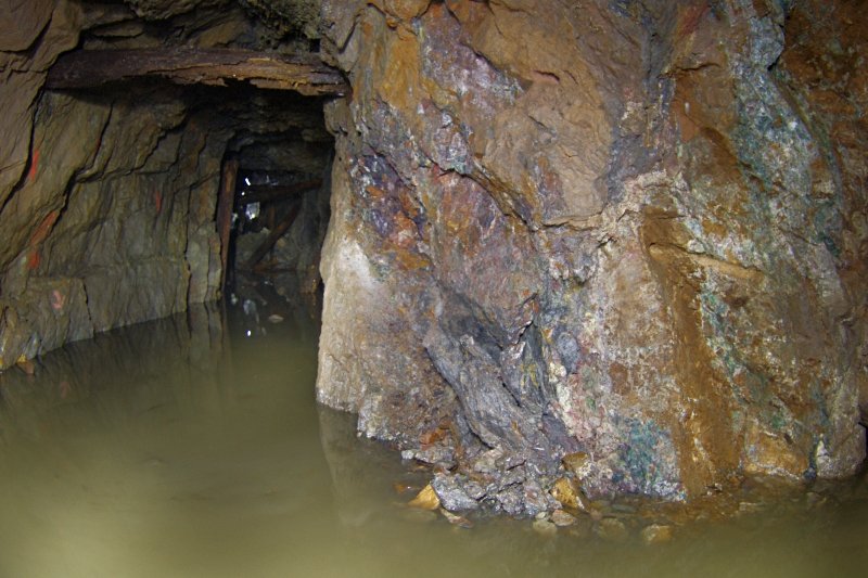 photo7.jpg