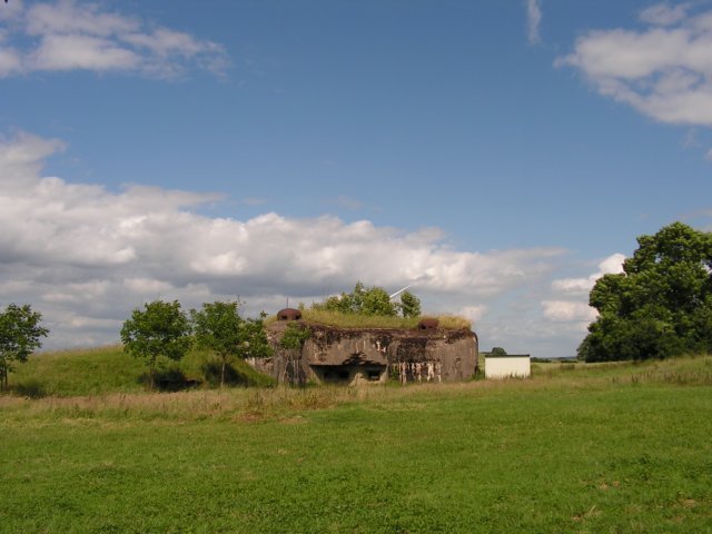photo.jpg