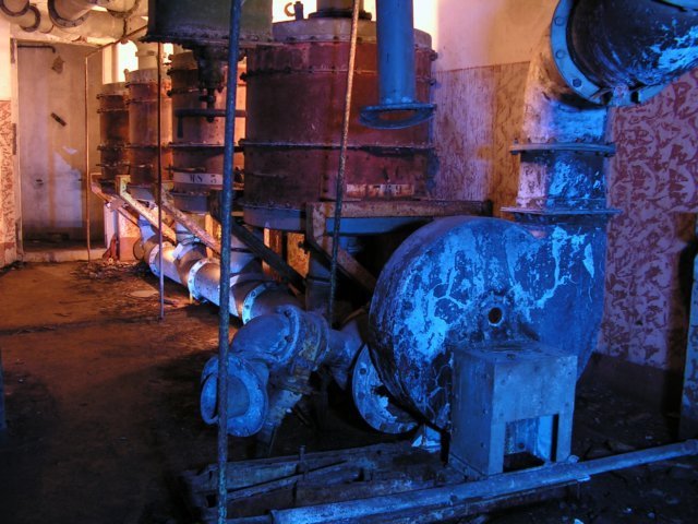 photo11.jpg
