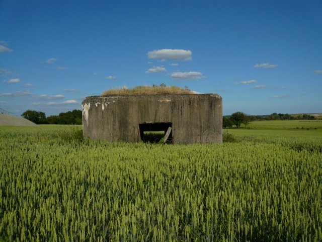 photo.jpg