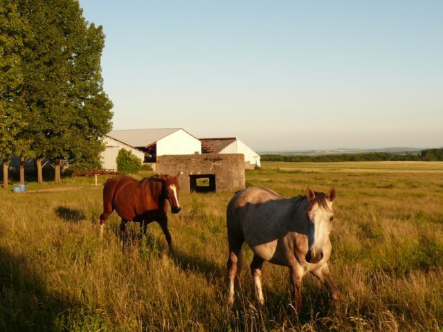 photo2.jpg