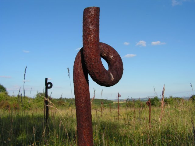 photo7.jpg