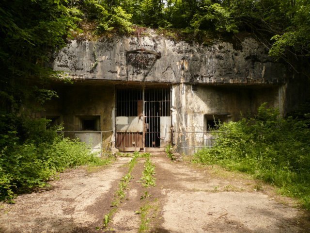 photo.jpg
