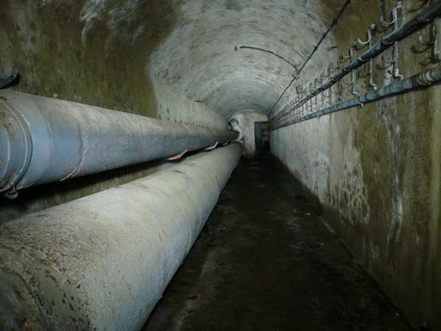 photo16.jpg