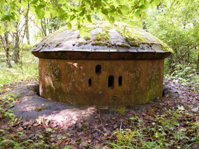 photo.jpg
