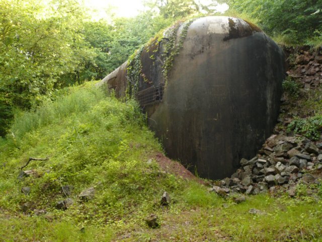 photo2.jpg