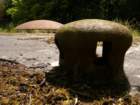 photo5_small.jpg