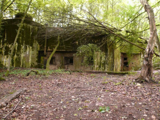 photo.jpg