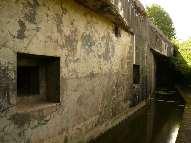 photo.jpg