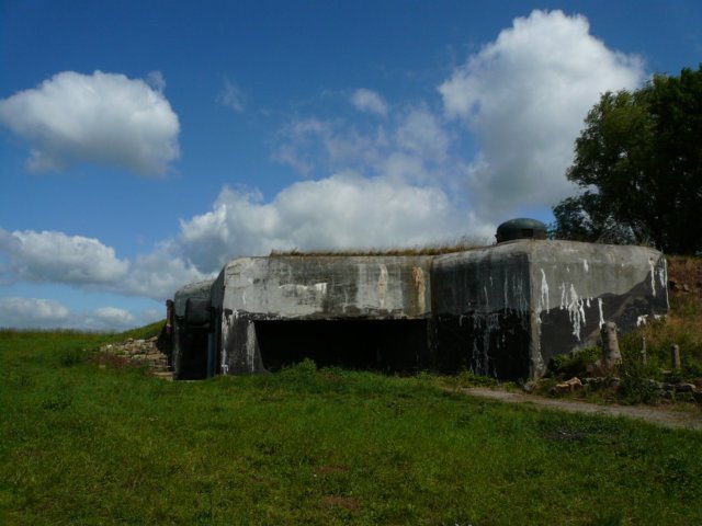 photo6.jpg