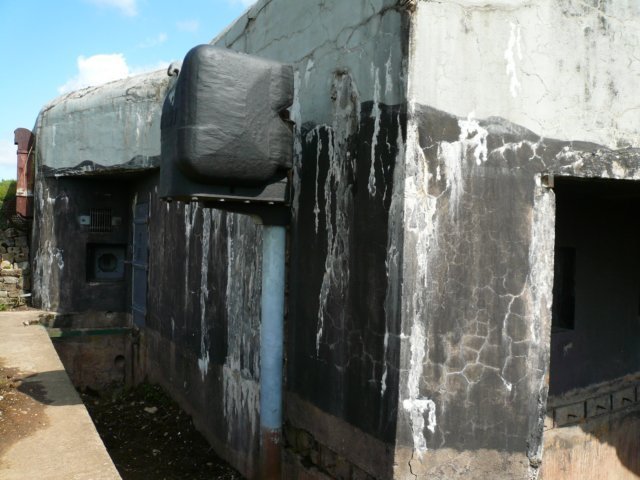 photo8.jpg