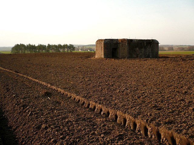 photo4.jpg