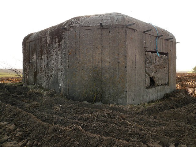 photo7.jpg