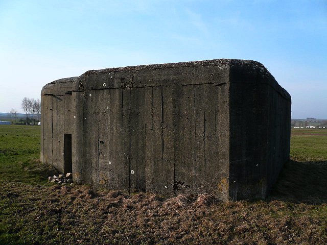 photo9.jpg