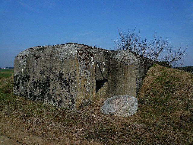 photo5.jpg