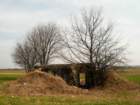 photo11_small.jpg