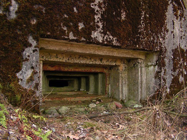 photo6.jpg