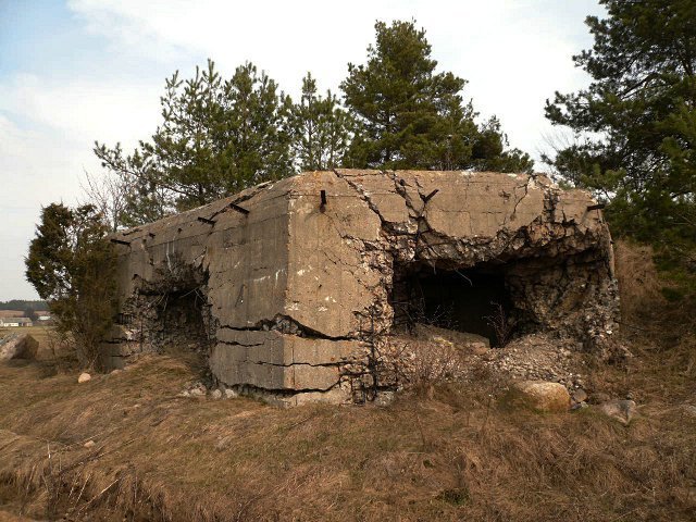 photo10.jpg