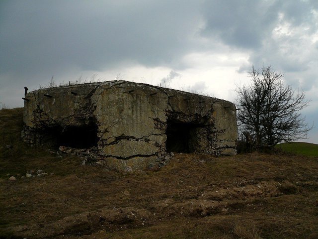 photo.jpg