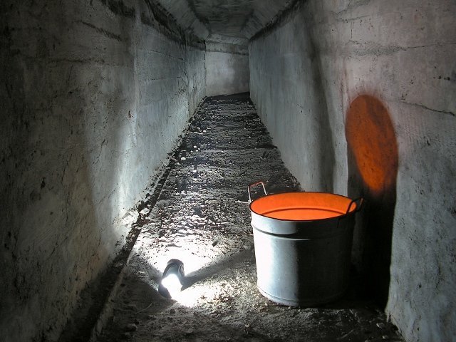 photo2.jpg