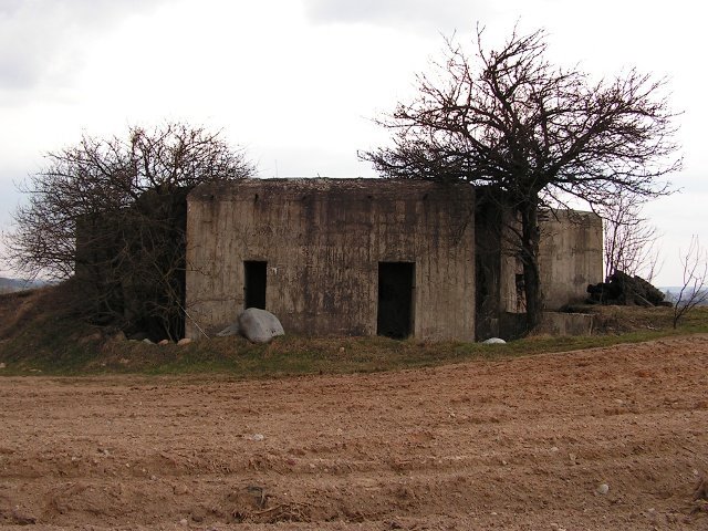 photo5.jpg