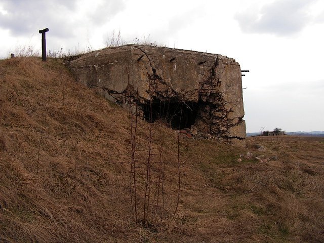 photo6.jpg