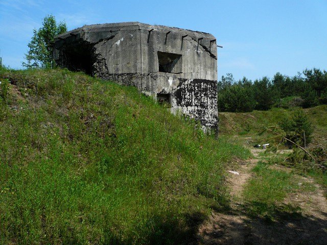 photo.jpg